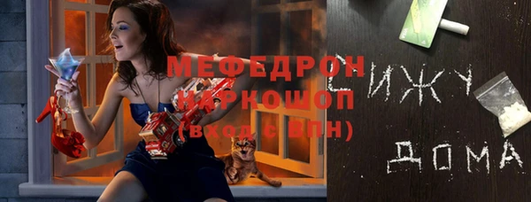 spice Богородицк