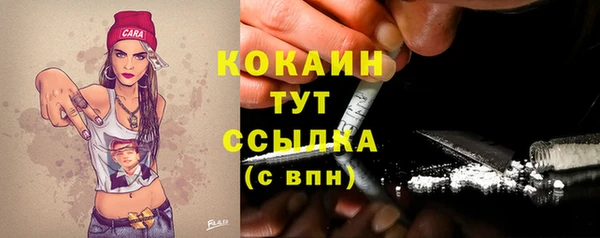 spice Богородицк