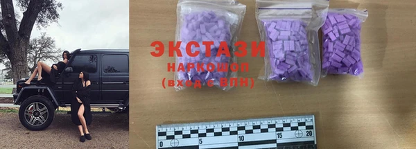 spice Богородицк