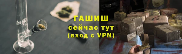 spice Богородицк