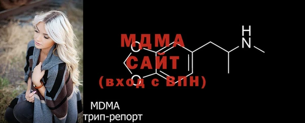 spice Богородицк