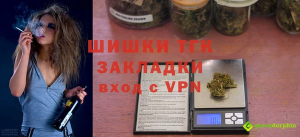 spice Богородицк