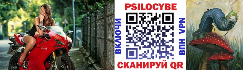 Псилоцибиновые грибы мицелий Лыткарино